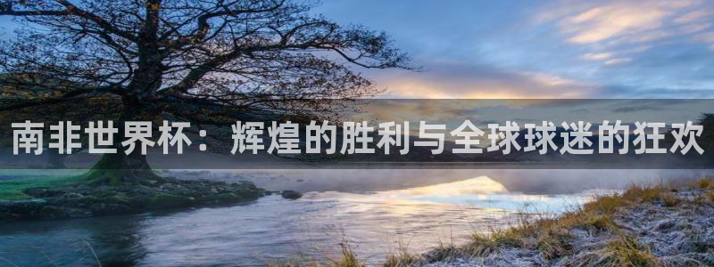 世界杯足球：南非世界杯：辉煌的胜利与全球球迷的狂欢