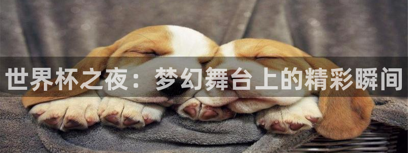 2026世界杯赛程时间表最新：世界杯之夜：梦幻舞台上的精彩瞬间
