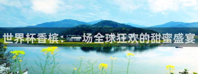 2026年男足世界杯：世界杯香槟：一场全球狂欢的甜蜜盛宴