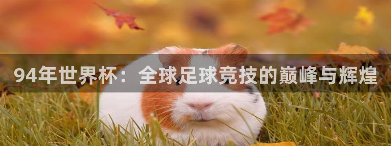 世界杯亚洲预选赛18强赛程：94年世界杯：全球足球竞技的巅峰与辉煌