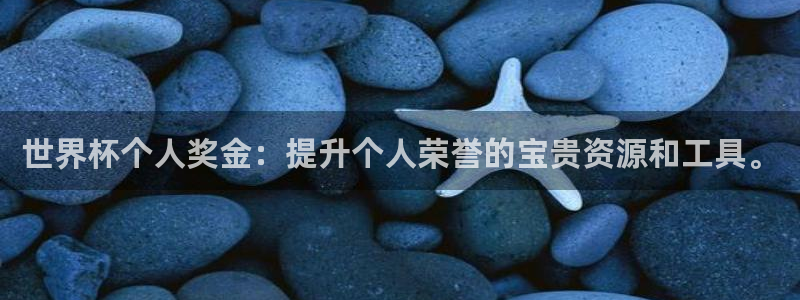 2026足球世界杯：世界杯个人奖金：提升个人荣誉的宝贵资源和工具。