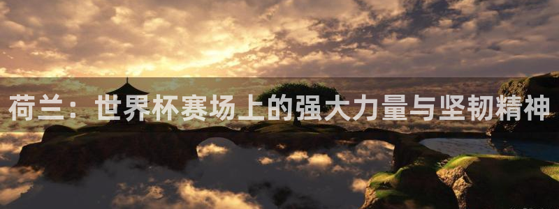 世界杯48支球队赛制：荷兰：世界杯赛场上的强大力量与坚韧精神