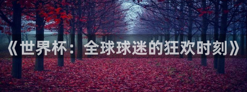 世界杯 2026：《世界杯：全球球迷的狂欢时刻》
