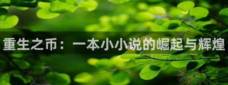 世界直播：重生之币：一本小小说的崛起与辉煌