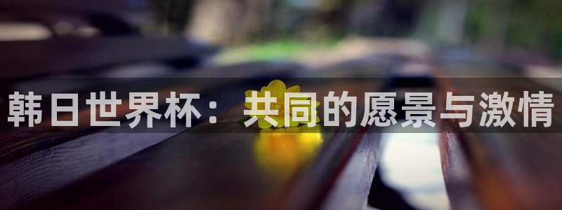 世界杯预选赛赛程：韩日世界杯：共同的愿景与激情