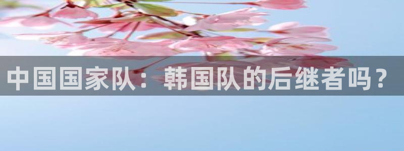 2026世界杯官网入口：中国国家队：韩国队的后继者吗？