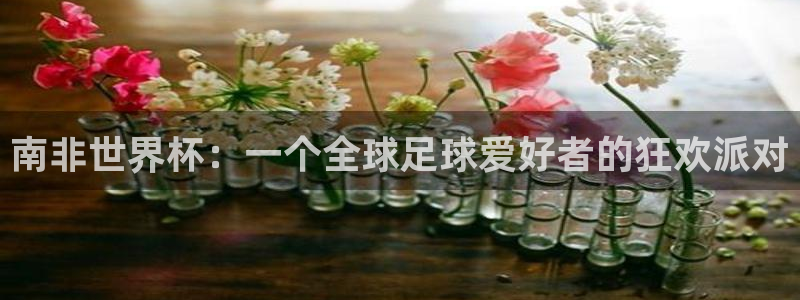 世界杯官网入口：南非世界杯：一个全球足球爱好者的狂欢派对