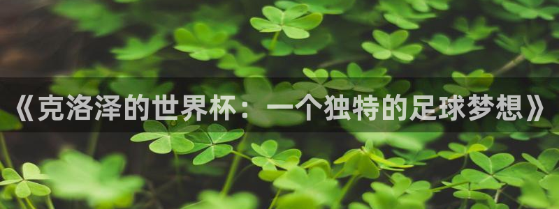 2026世界杯足球赛程时间表：《克洛泽的世界杯：一个独特的足球梦想》