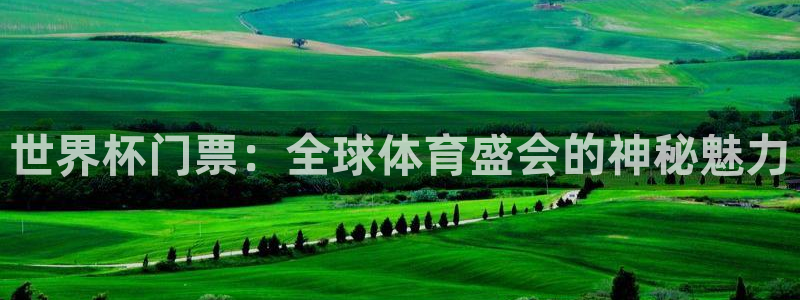 足球世界杯：世界杯门票：全球体育盛会的神秘魅力